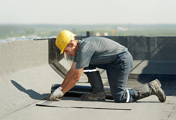 Best Eco-Friendly Insulation in Highlands, CA